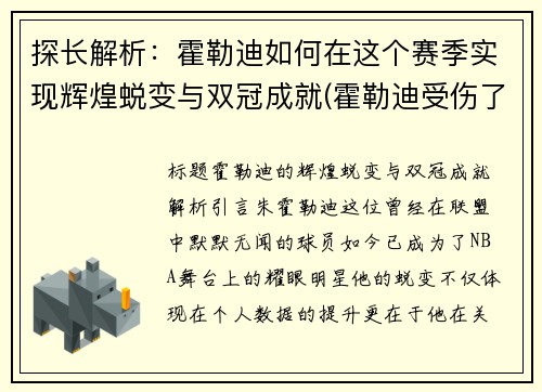 探长解析：霍勒迪如何在这个赛季实现辉煌蜕变与双冠成就(霍勒迪受伤了吗)